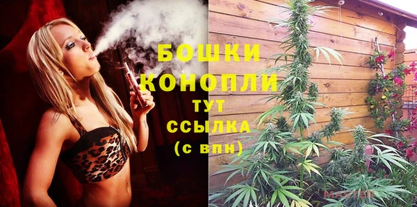 кристаллы Гусь-Хрустальный
