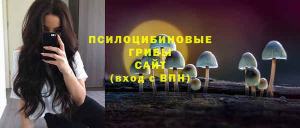 дурь Гусиноозёрск