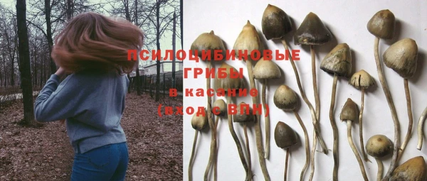 кристаллы Гусь-Хрустальный