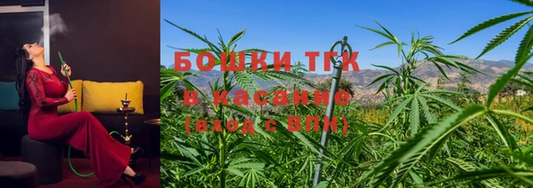 дурь Гусиноозёрск