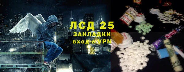 дурь Гусиноозёрск