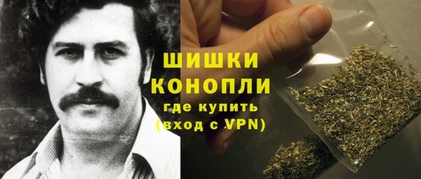 дурь Гусиноозёрск