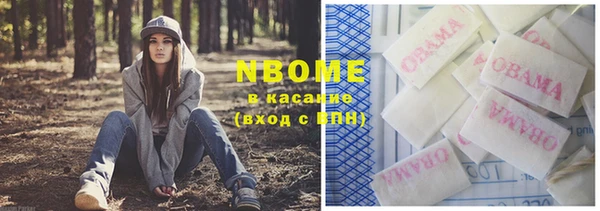 дурь Гусиноозёрск