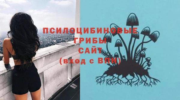 кристаллы Гусь-Хрустальный